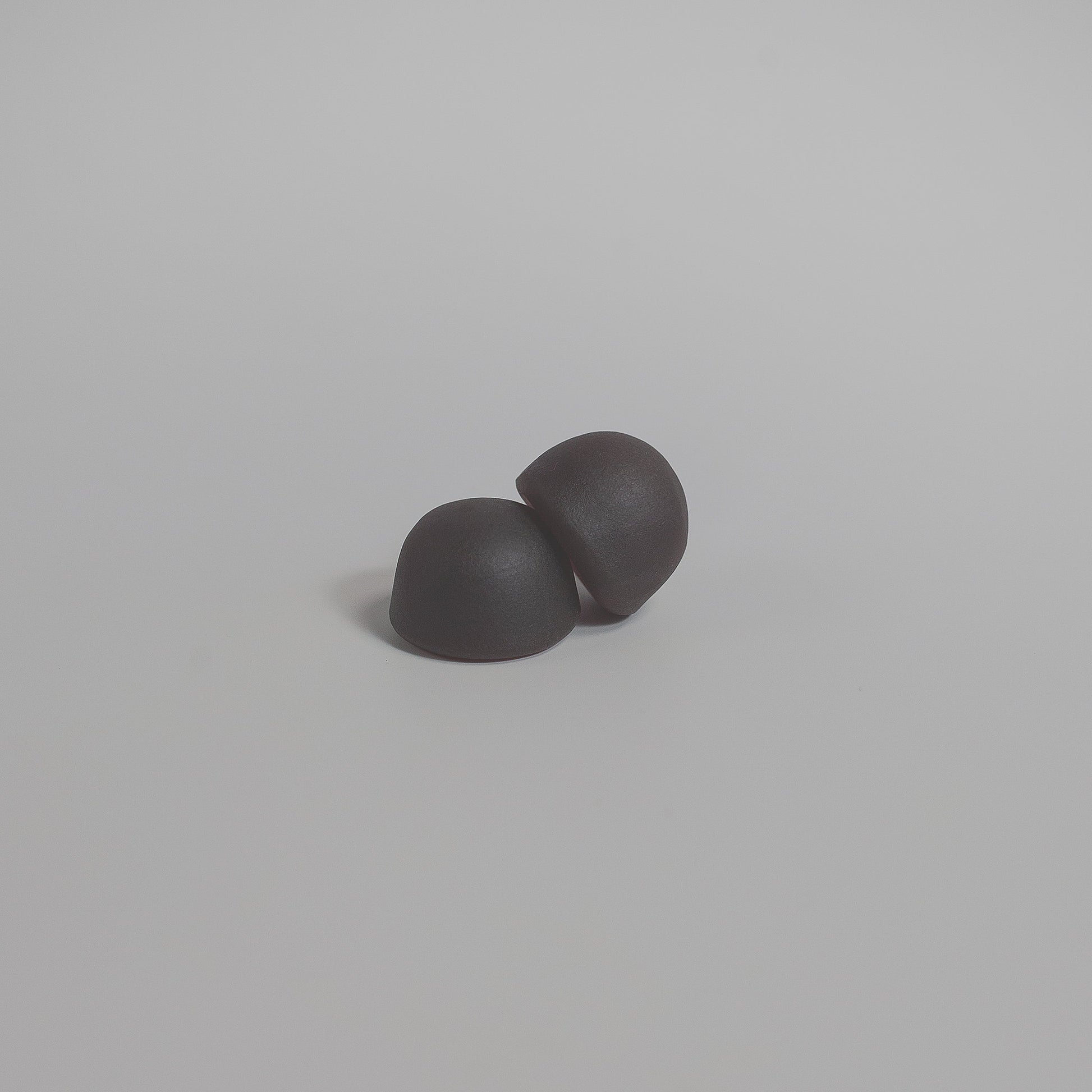 Mushroom Extract Complex - Shuntia Symonette