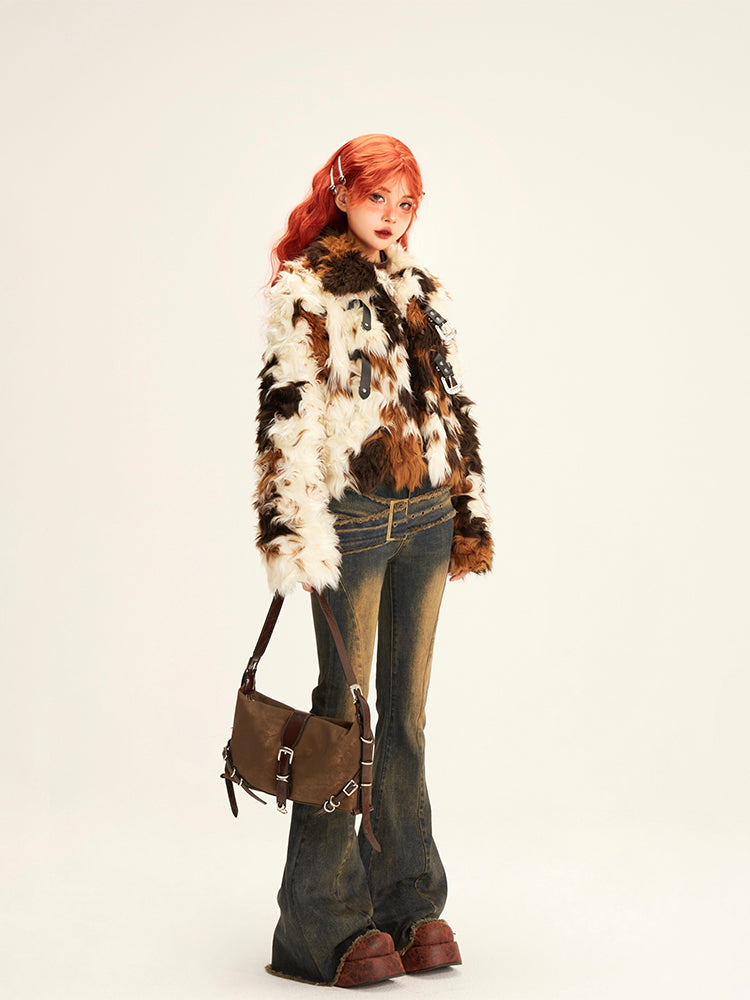 Hawaii Chinchilla - Shuntia Symonette