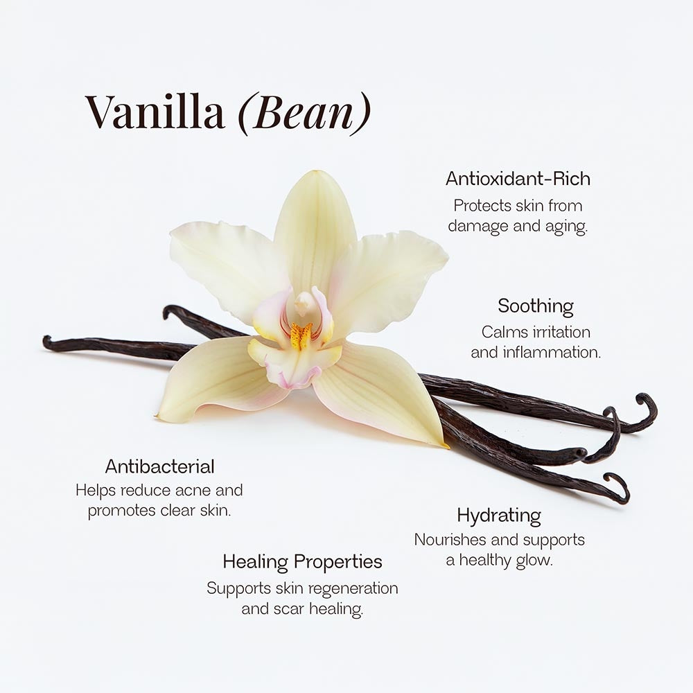 Whipped Tallow Balm with Vanilla Bean for deep skin hydration