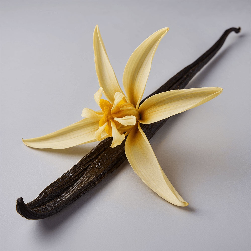 Whipped Tallow Balm with Vanilla Bean for deep skin hydration