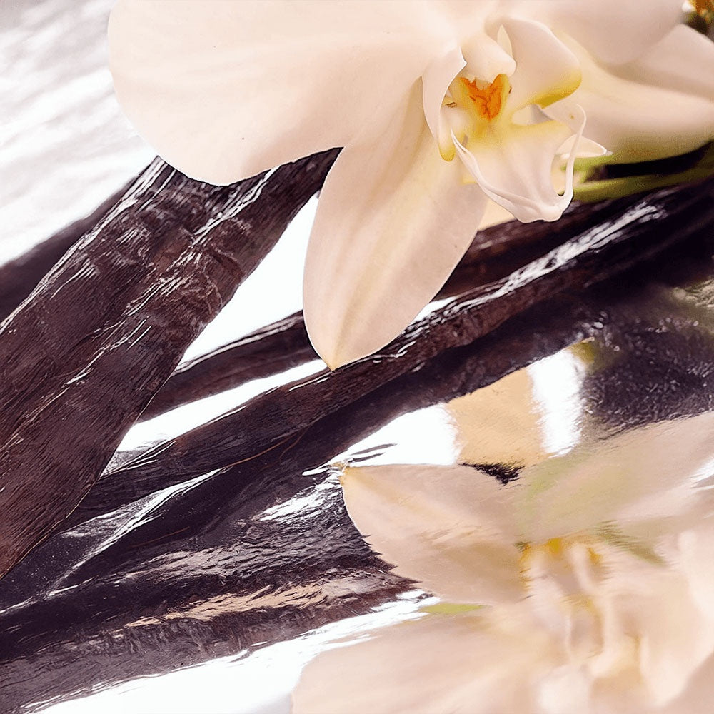 Whipped Tallow Balm with Vanilla Bean for deep skin hydration