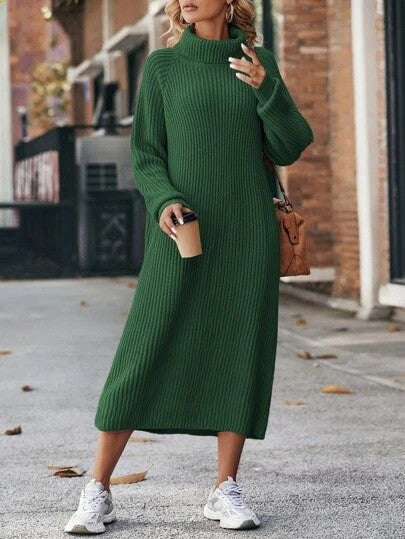 Winter Turtleneck Knitted Sweater Dress Fashion Solid Loose Pullover Long Dresses For Women Clothing - Shuntia Symonette